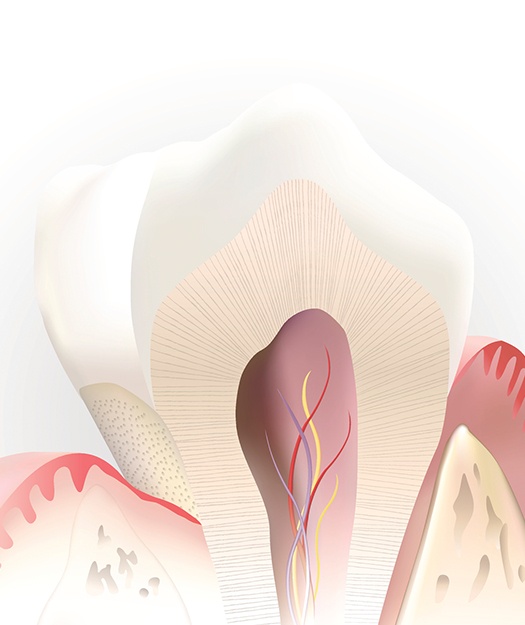 Animated inside of a health tooth